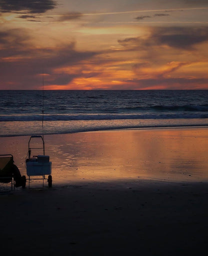 Panasonic Lumix FX10