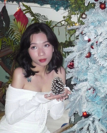 Panasonic Lumix FX10